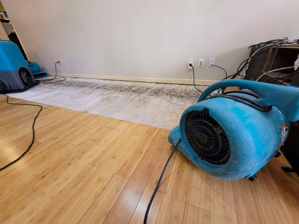 Reliable Basement Flood Cleanup contractor in Monroe, MI by Hirex Water Damage