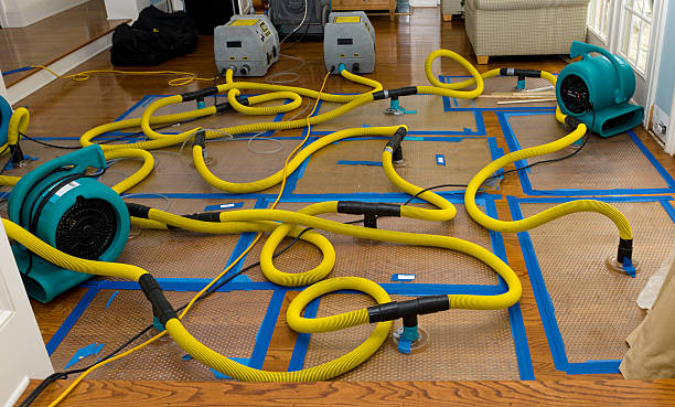 Professional Basement Flood Cleanup technician working in Monroe, MI